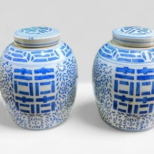 Par de potiches com tampa em porcelana chinesa azul e branco