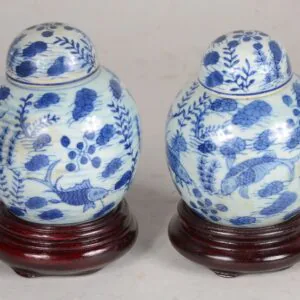 par-de-pequenos-potiches-de-porcelana-oriental-azul-e-branca