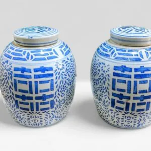 par-de-potiches-com-tampa-em-porcelana-chinesa-azul-e-branco